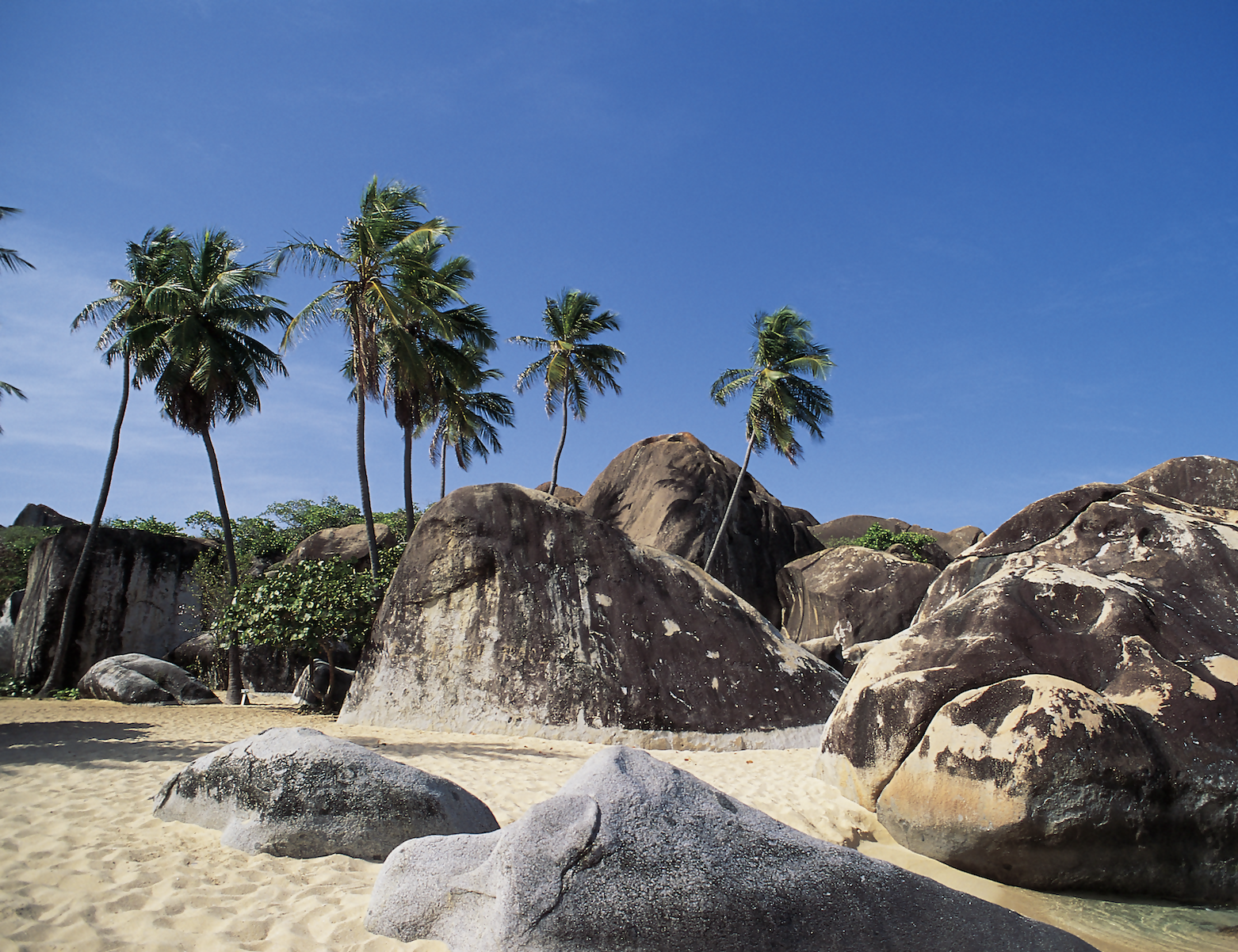 Explore Natural Wonders in the Caribbean